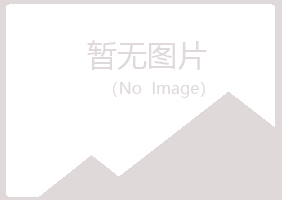 大新县谷丝工程有限公司